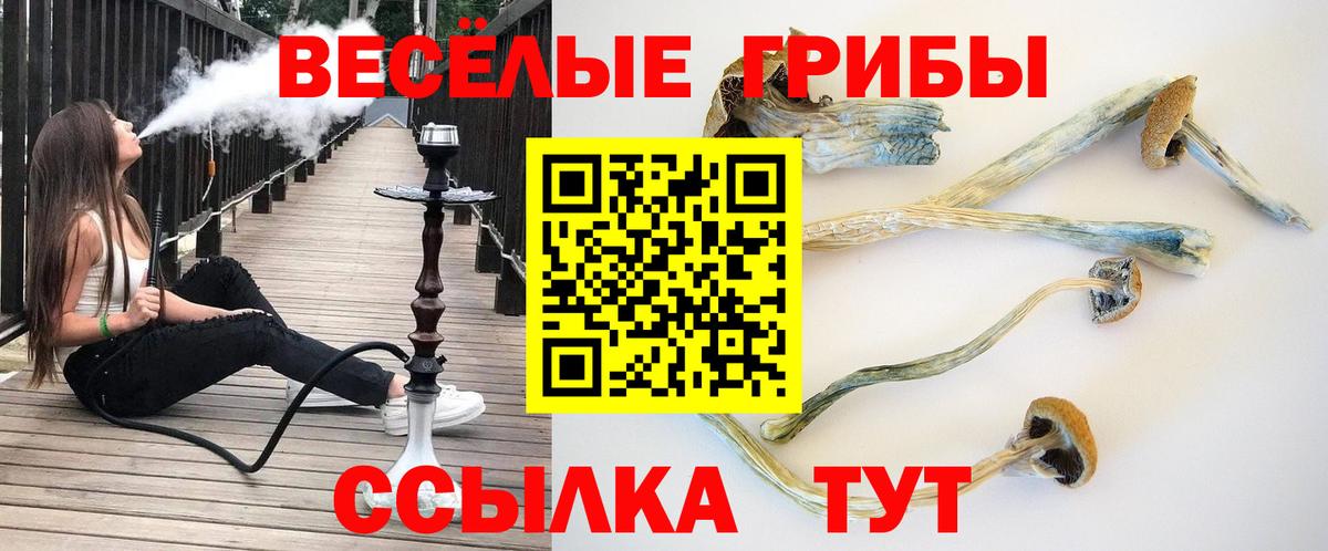 Галлюциногенные грибы мухоморы  Вход с VPN  Псилоцибиновые грибы мицелий  продажа наркотиков  Печора 
